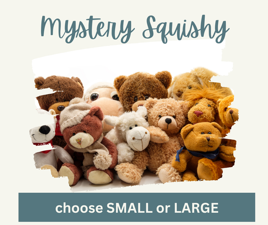 MYSTERY Squishy! Small or Large